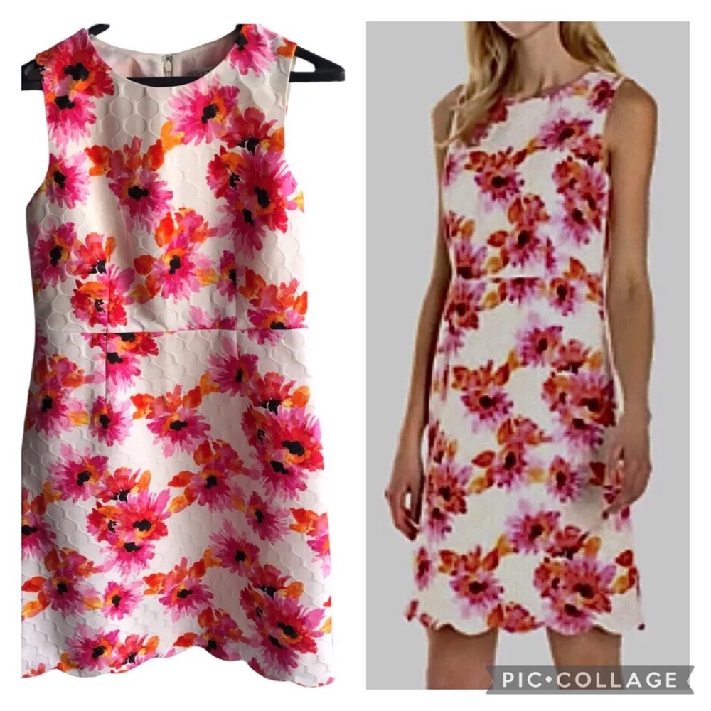 Womens sz4 jacquard splash flower sheath dress w/scalloped hem lined